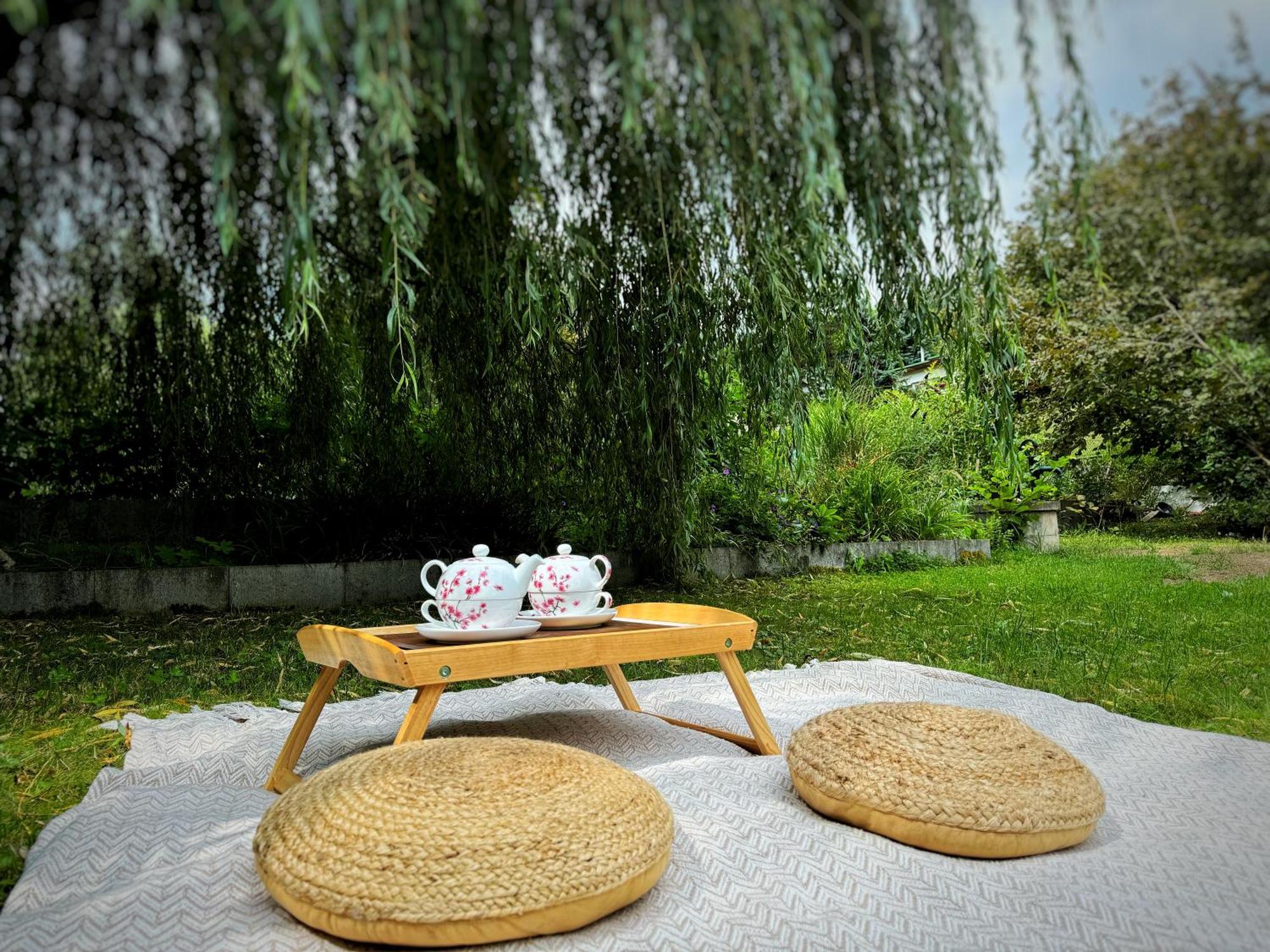 Chillzona U Medojeda Chynava